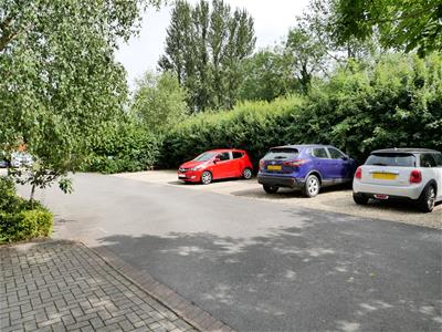 Picture 12